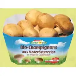Maximarkt Bio-Champignon Mix Maximarkt Angebot