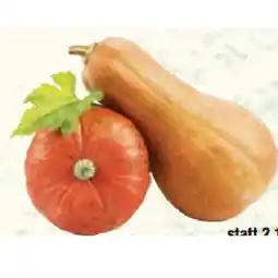 Maximarkt Bio-Kürbis Butternuss Maximarkt Angebot