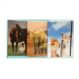 Maximarkt Heftbox Kids Format A4 Maximarkt Angebot