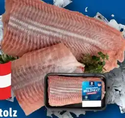 Lidl Fischerstolz Welsfilet Angebot