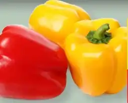 MPreis Paprika Angebot