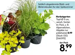 Hellweg Herbstgarten Angebot