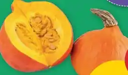 PENNY Echt Bio Speisekürbis Hokkaido Angebot