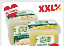 PENNY Efko Kartoffelsalat Angebot