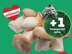 PENNY Echt Bio Kräuterseitlinge Angebot