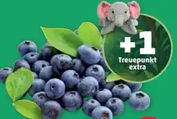 PENNY Heidelbeeren Angebot
