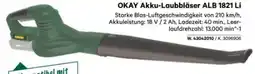 Lagerhaus Okay Akku-Laubbläser ALB 1821 Li Angebot