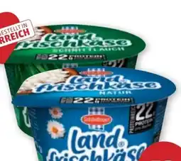 PENNY Schärdinger Landfrischkäse Angebot