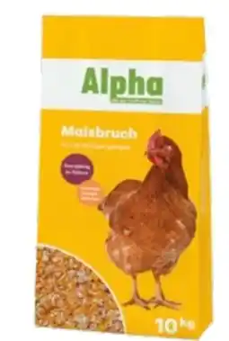 Lagerhaus Alpha Maisbruch Angebot
