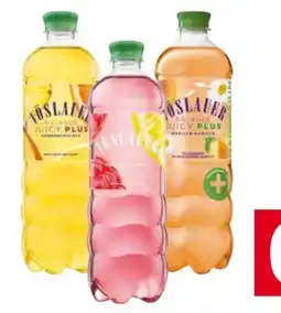 Transgourmet Vöslauer Balance Angebot