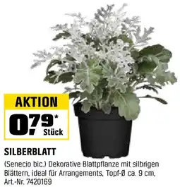 OBI Silberblatt Angebot