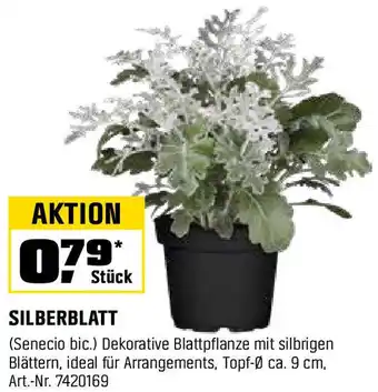 OBI Silberblatt Angebot