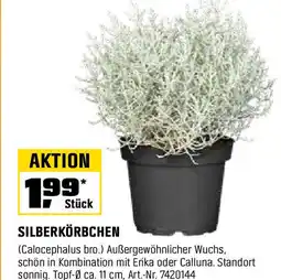 OBI Silberkörbchen Angebot