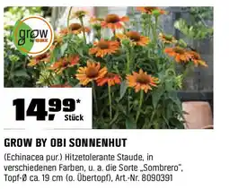 OBI Grow by obi sonnenhut Angebot