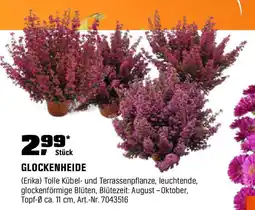 OBI Glockenheide Angebot