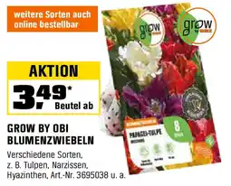 OBI Grow by obi blumenzwiebeln Angebot