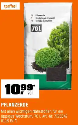 OBI Pflanzerde torffrei Angebot