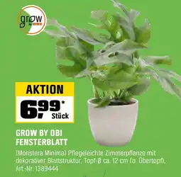 OBI Grow by obi fensterblatt Angebot