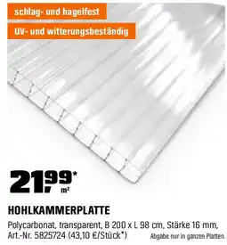 OBI Hohlkammerplatte Angebot