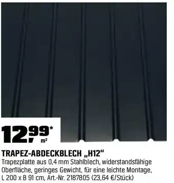 OBI Trapez-abdeckblech h12 Angebot