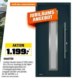 OBI Haustür Angebot