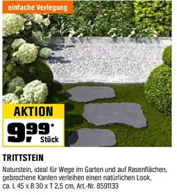 OBI Naturstein-Trittstein Blue-Stone Angebot