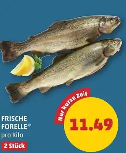 PENNY Frische forelle Angebot