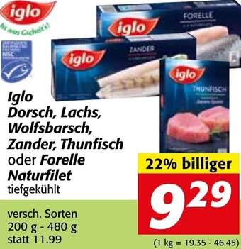 Strasser Markt Iglo Dorsch, Lachs, Wolfsbarsch, Zander Thunfisch Oder Forelle Naturfilet 200-480g Angebot
