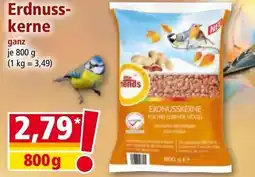 Norma Erdnuss kerne Angebot