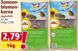 Norma Sonnen blumen kerne Angebot