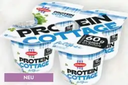 Billa Schärdinger Protein Cottage Cheese Angebot