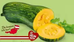 Billa Da komm' ich her Speisekürbis Piena di Napoli Angebot