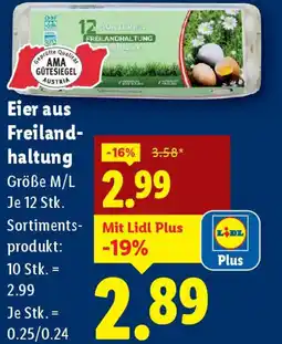 Lidl Eier aus Freiland- haltung Angebot