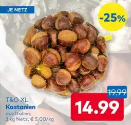 T&G T&G XL Kastanien Angebot