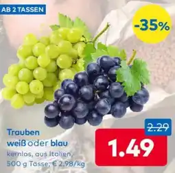T&G Trauben weiß oder blau Angebot
