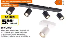 OBI Spot taio Angebot
