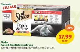 Fressnapf Sheba fresh & fine katzennahrung Angebot