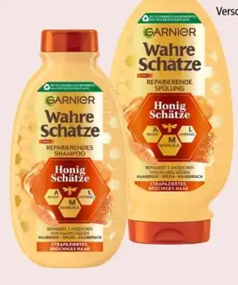 Interspar Garnier Wahre Schätze Shampoo Angebot