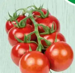 Spar Midi-Rispentomaten Angebot