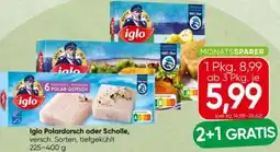 Spar Iglo Polardorsch Angebot