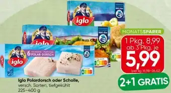 Spar Iglo Polardorsch Angebot