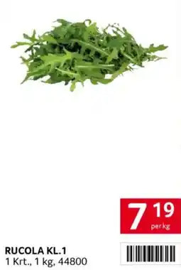 Transgourmet Rucola kl.1 Angebot