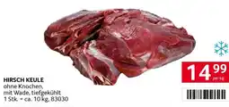 Transgourmet Hirsch keule Angebot