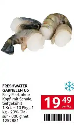 Transgourmet Freshwater garnelen u5 Angebot