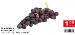 Transgourmet Trauben blau kernlos kl.1 Angebot