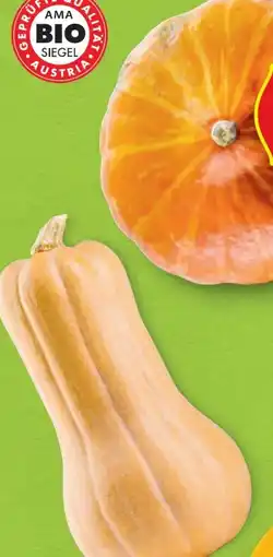 Hofer Zurück zum Ursprung Bio-Kürbis Angebot