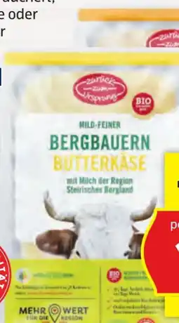Hofer Zurück zum Ursprung Bio-Bergbauern-Butterkäse Angebot