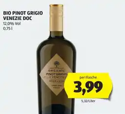 Hofer Bio Pinot Grigio Venezie Angebot