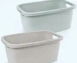 Hofer Home Creation Universal-Korb/Wanne Angebot