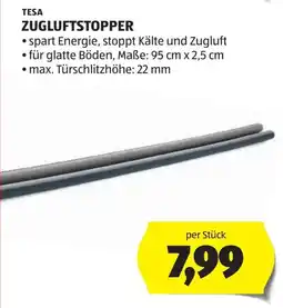 Hofer Tesa zugluftstopper Angebot